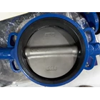 BUTTERFLY VALVE BODY CAST IRON DISC SUS 304 2