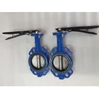 BUTTERFLY VALVE BODY CAST IRON DISC sUS 304 7