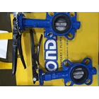BUTTERFLY VALVE BODY CAST IRON DISC sUS 304 1