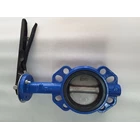 BUTTERFLY VALVE BODY CAST IRON DISC SUS 304 5