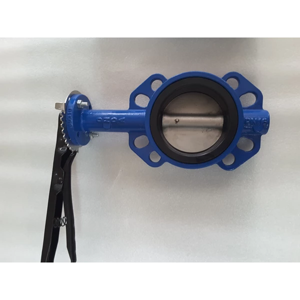 BUTTERFLY VALVE BODY CAST IRON DISC sUS 304