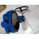 BUTTERFLY VALVE GEARBOX 2