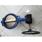 BUTTERFLY VALVE GEARBOX 3